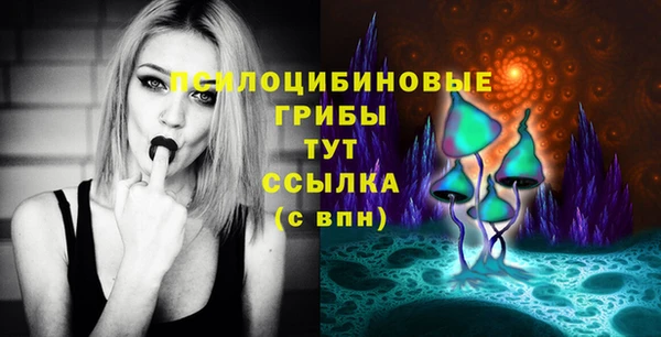 прущая мука Алзамай