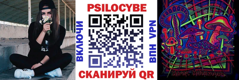 купить наркоту  Черкесск  Галлюциногенные грибы мухоморы 