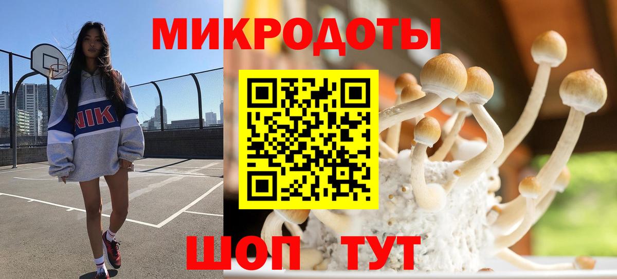 Галлюциногенные грибы MAGIC MUSHROOMS  Вход с VPN  Псилоцибиновые грибы Psilocybine cubensis  Черкесск 